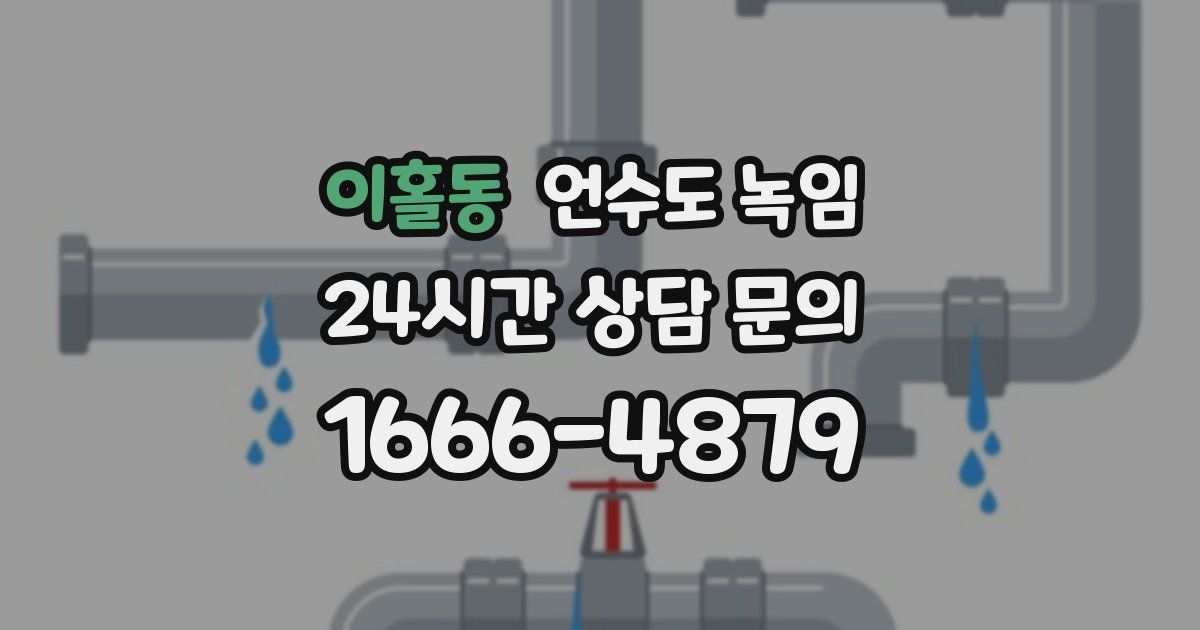 이홀동 언수도 녹임