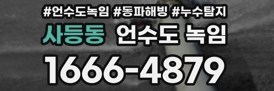 사등동 언수도 녹임