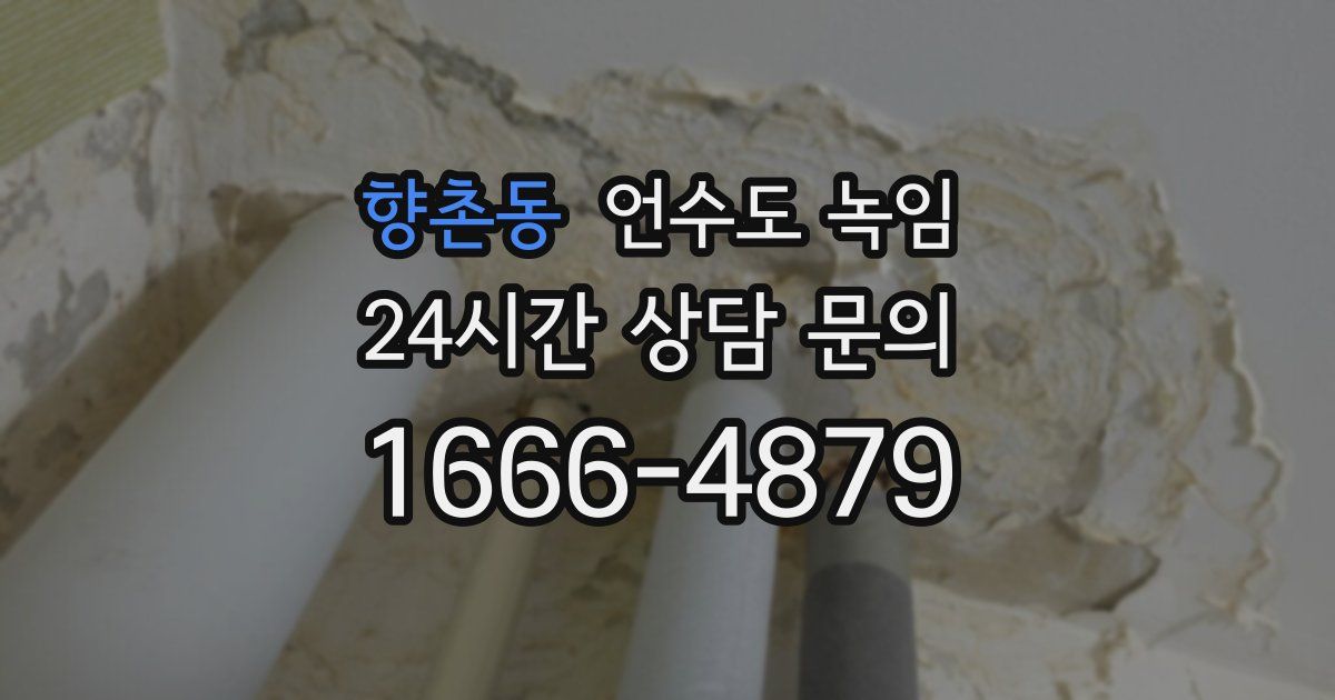 향촌동 언수도 녹임