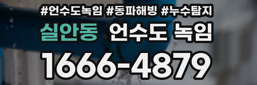 실안동 언수도 녹임