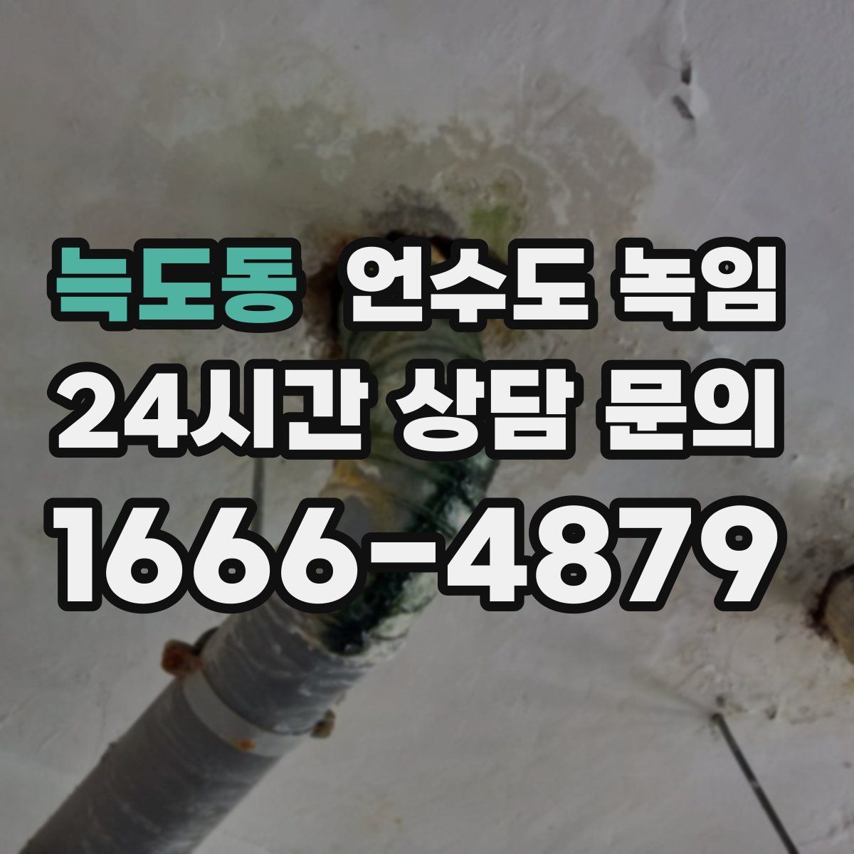 늑도동 언수도 녹임
