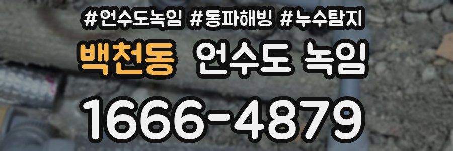 백천동 언수도 녹임