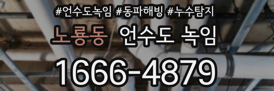 노룡동 언수도 녹임