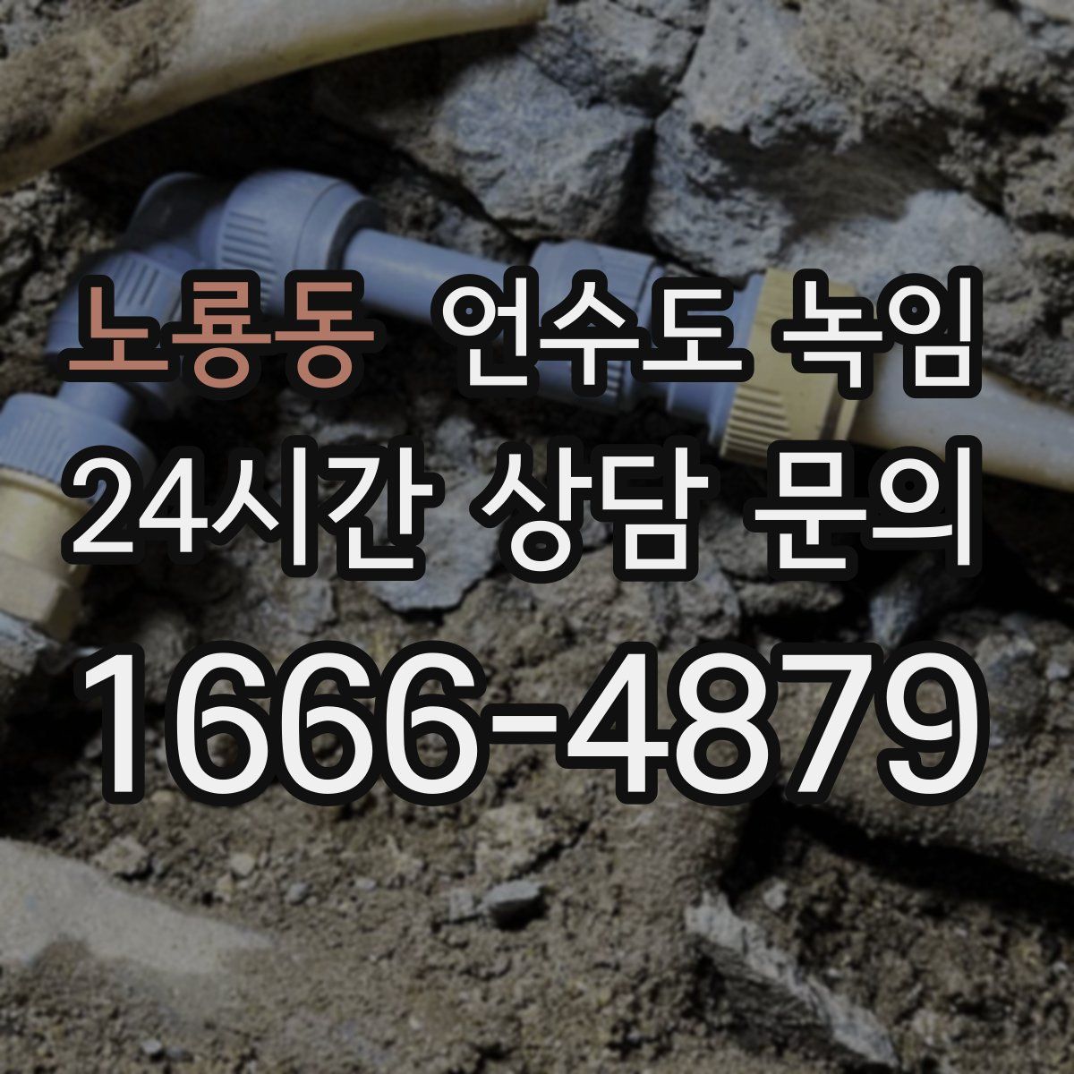 노룡동 언수도 녹임