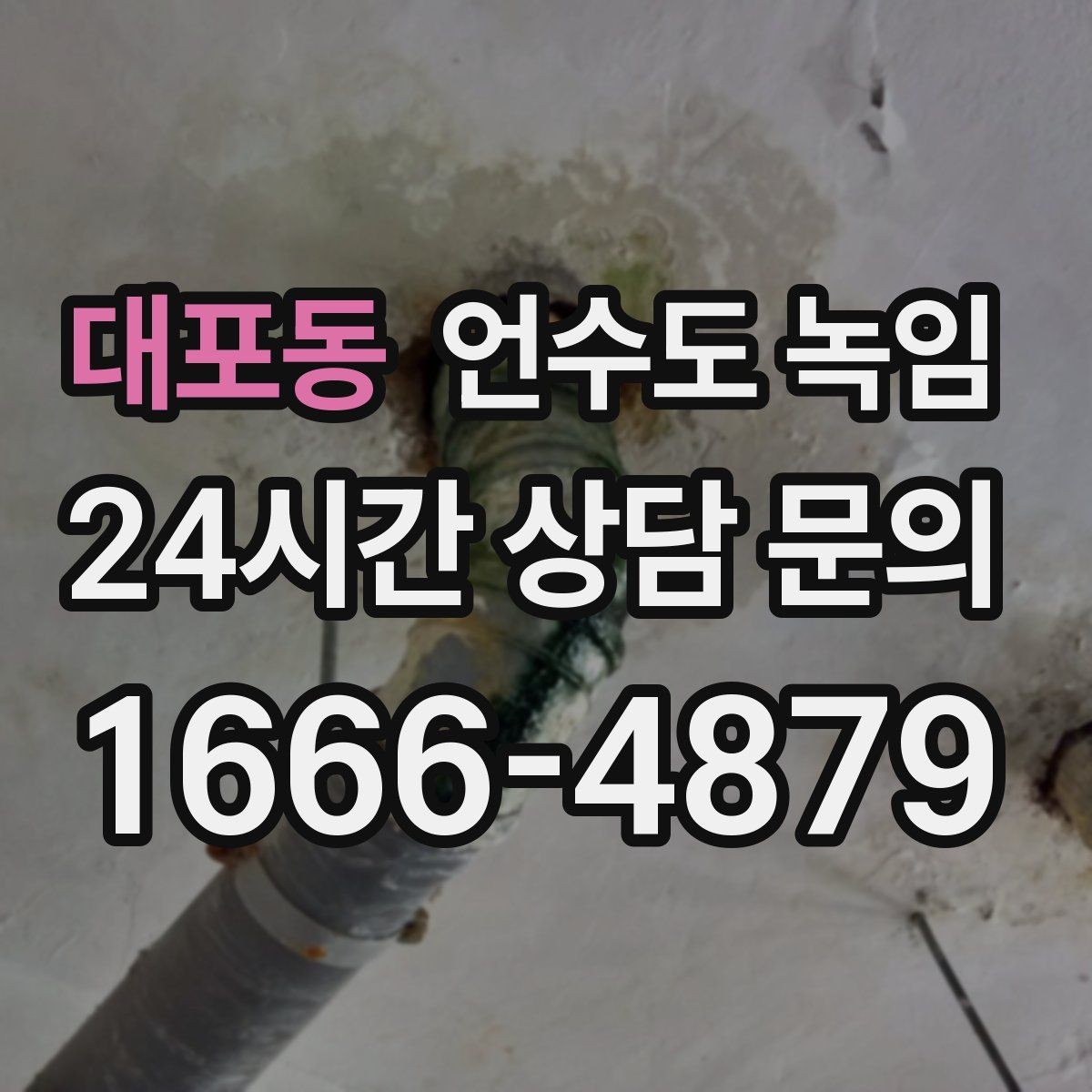 대포동 언수도 녹임 틈새 바람막이로 결빙 줄이는 방법