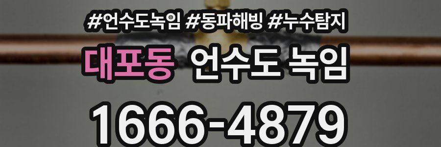 대포동 언수도 녹임