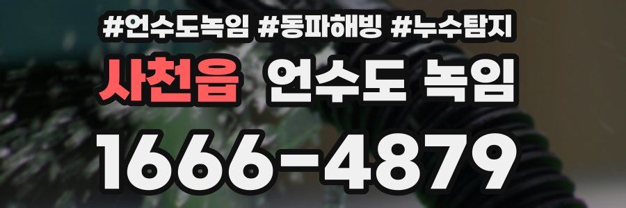 사천읍 언수도 녹임