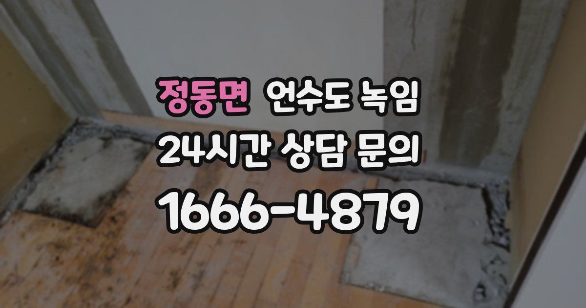 정동면 언수도 녹임