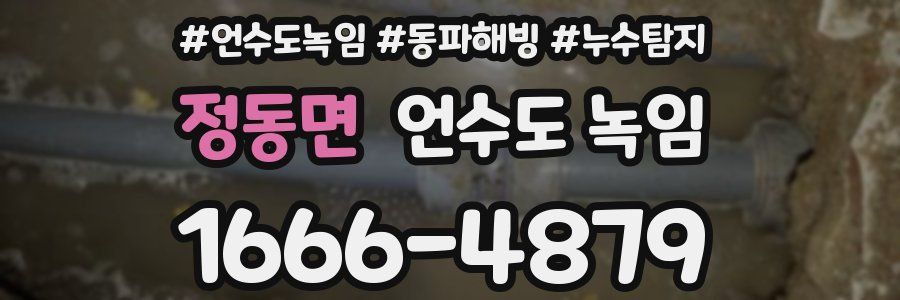 정동면 언수도 녹임