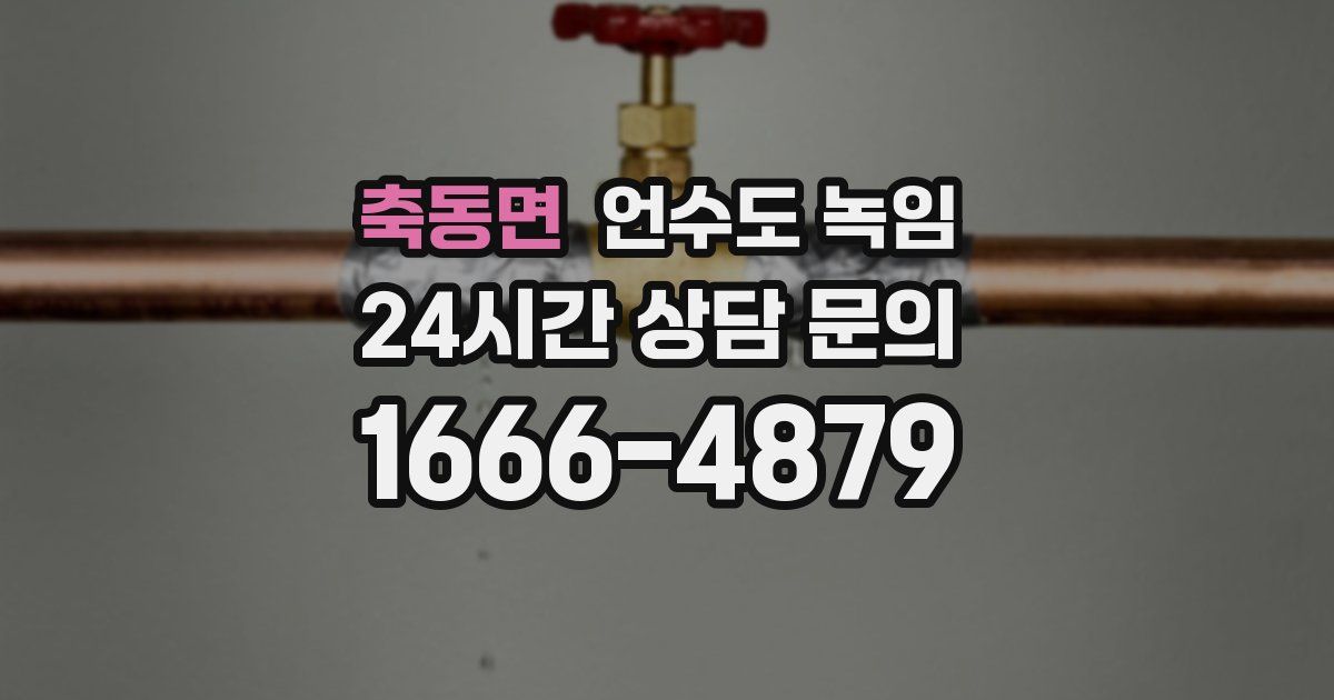 축동면 언수도 녹임