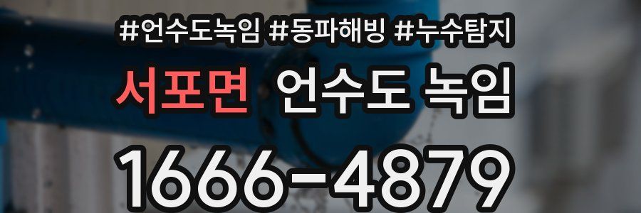 서포면 언수도 녹임