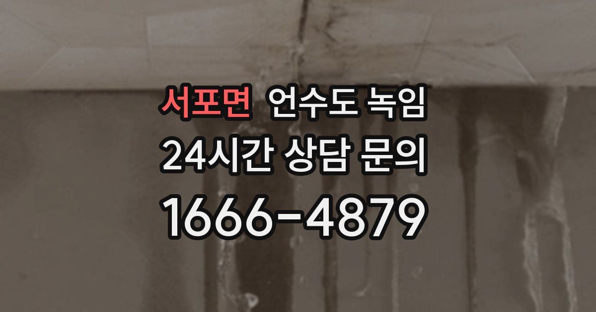 서포면 언수도 녹임