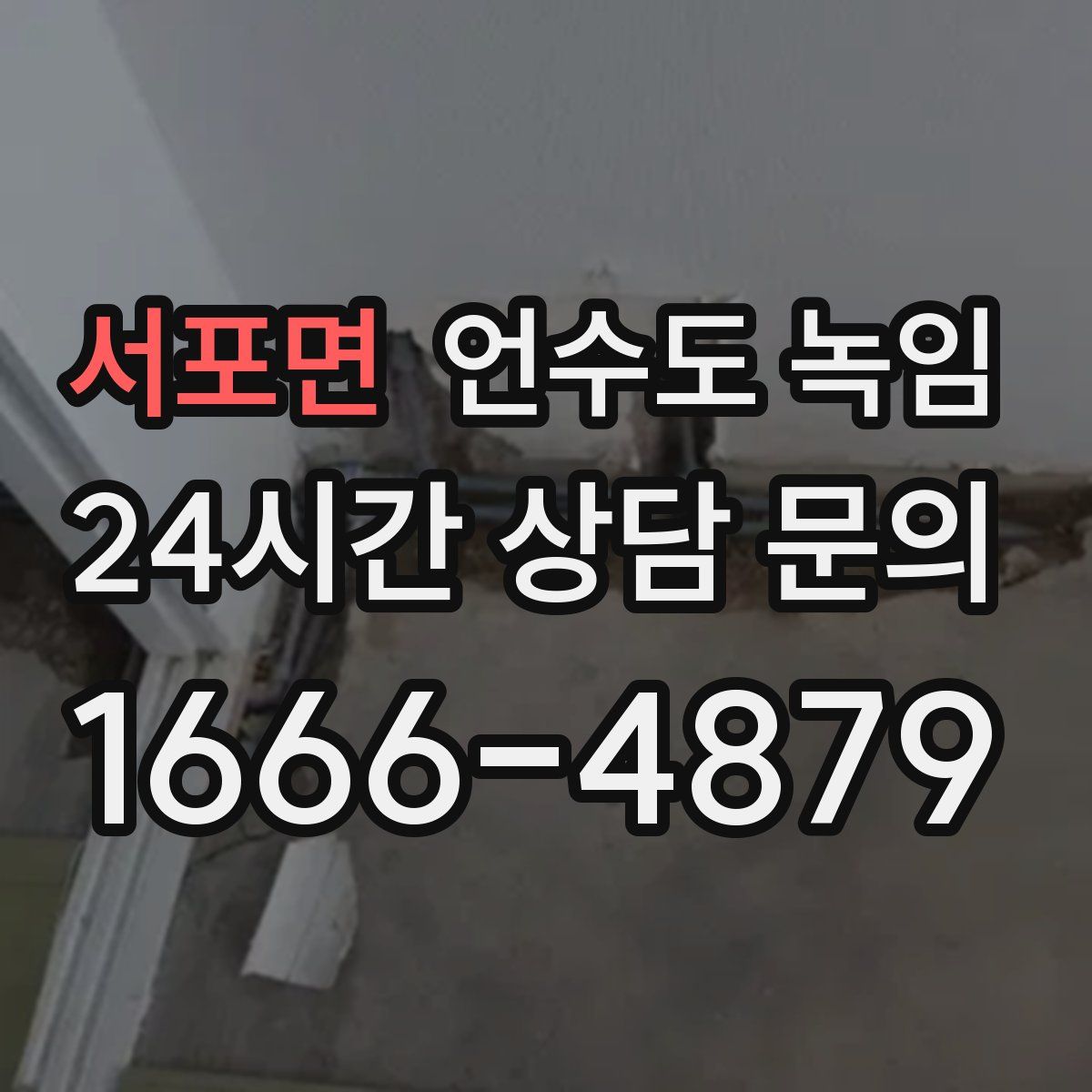 서포면 언수도 녹임