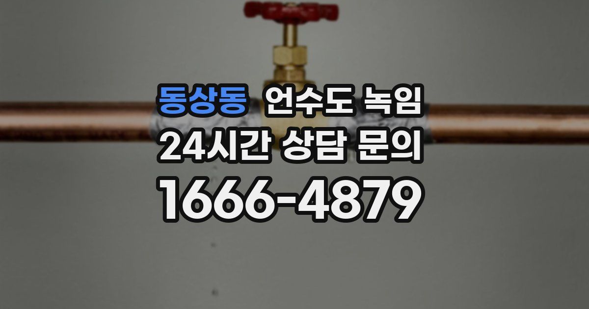 동상동 언수도 녹임