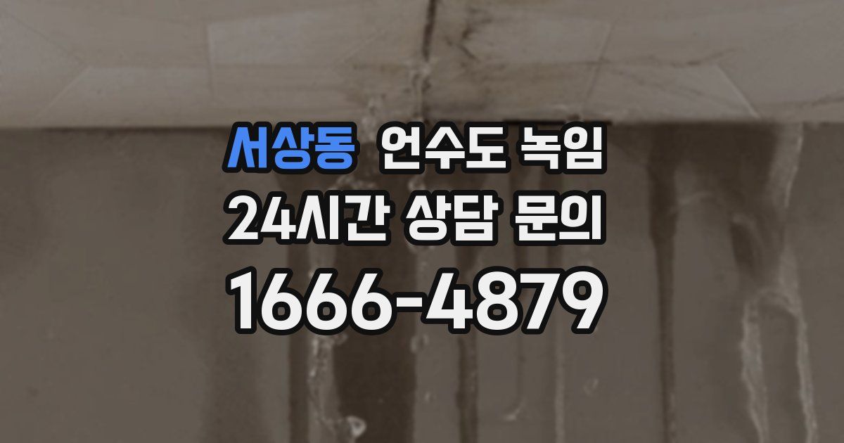 서상동 언수도 녹임