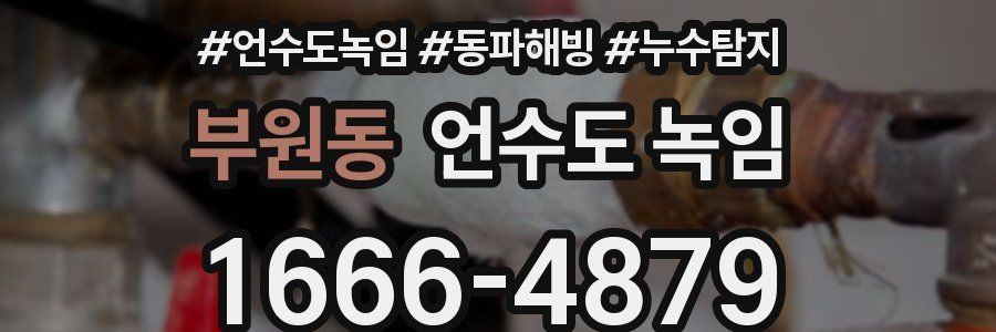 부원동 언수도 녹임