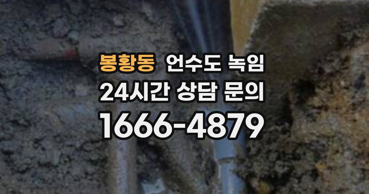 봉황동 언수도 녹임