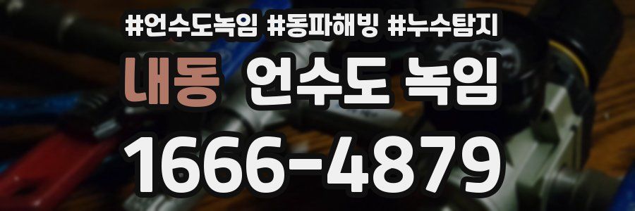 내동 언수도 녹임