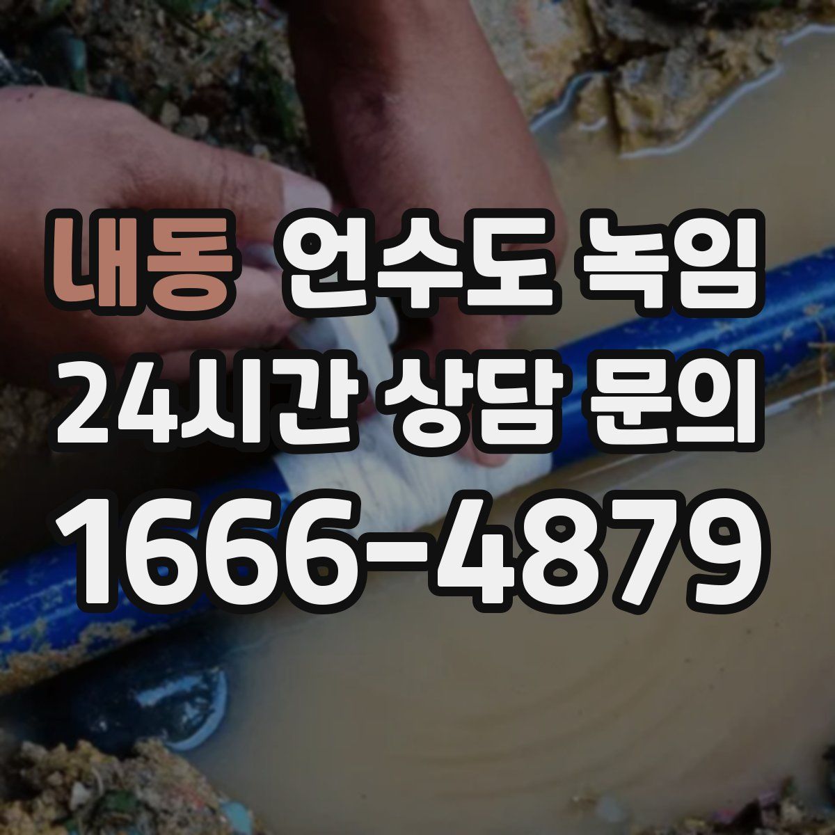 내동 언수도 녹임