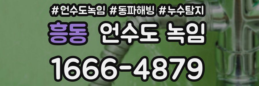 흥동 언수도 녹임