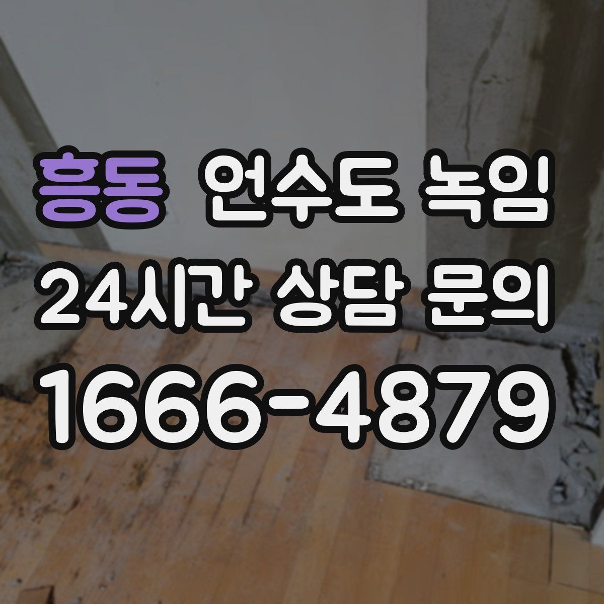 흥동 언수도 녹임