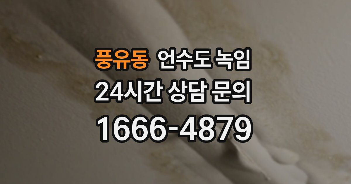 풍유동 언수도 녹임