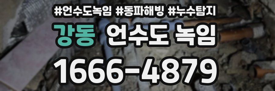 강동 언수도 녹임