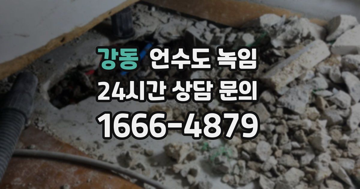 강동 언수도 녹임