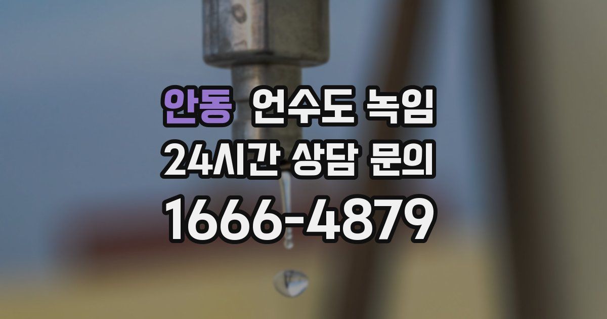 안동 언수도 녹임