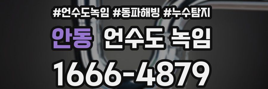 안동 언수도 녹임