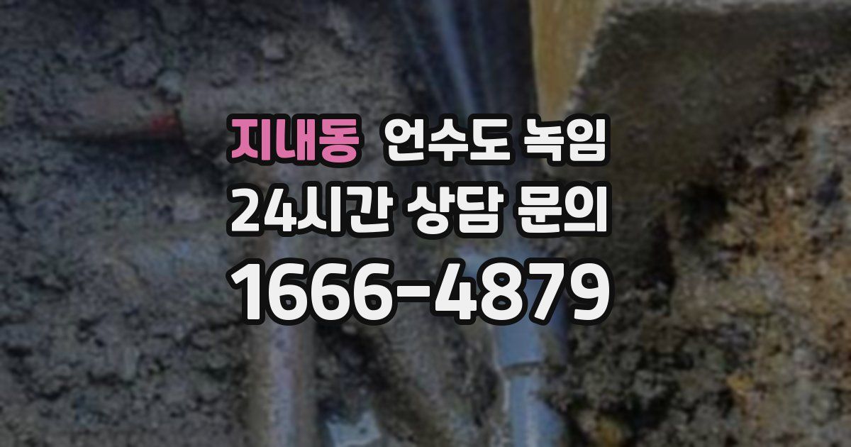 지내동 언수도 녹임