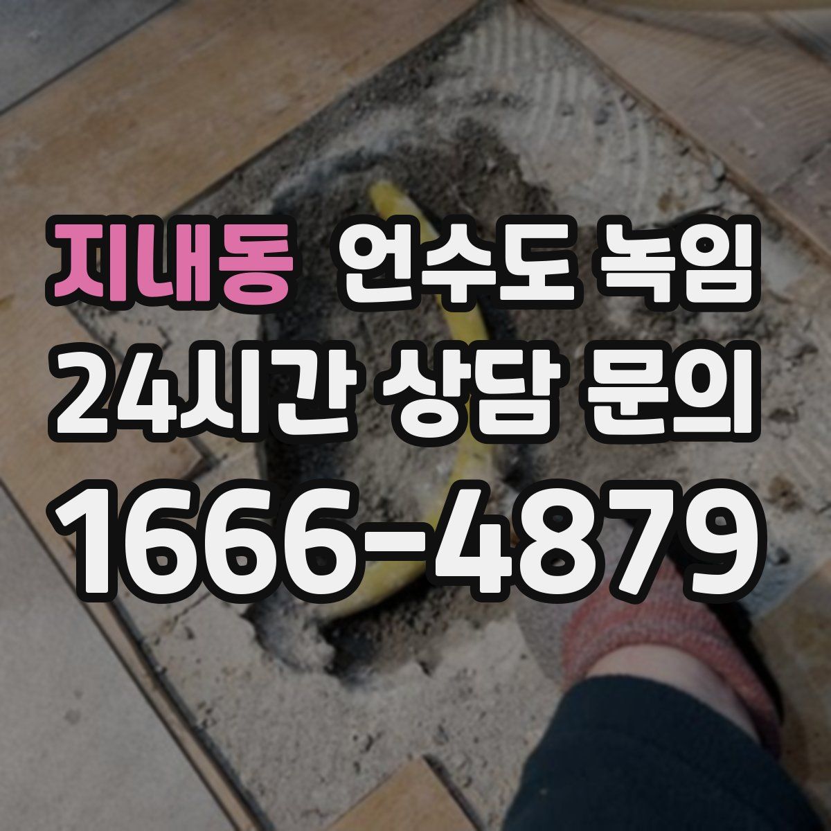 지내동 언수도 녹임