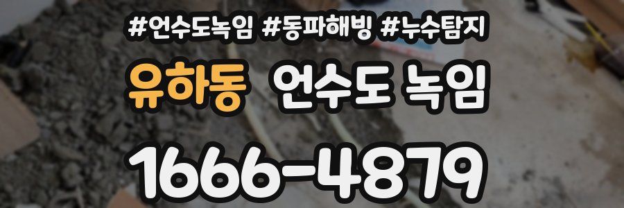 유하동 언수도 녹임