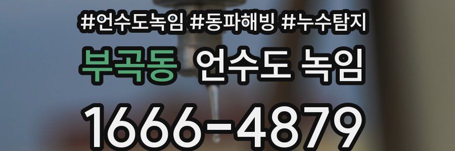 부곡동 언수도 녹임