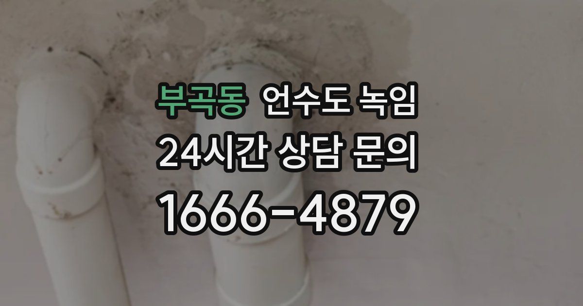 부곡동 언수도 녹임