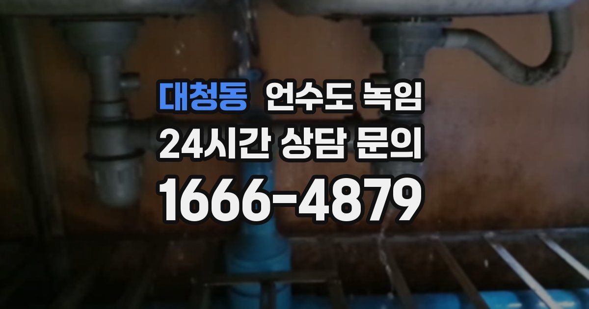 대청동 언수도 녹임