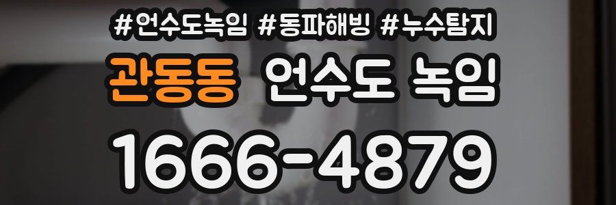 관동동 언수도 녹임