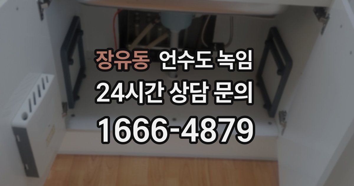 장유동 언수도 녹임