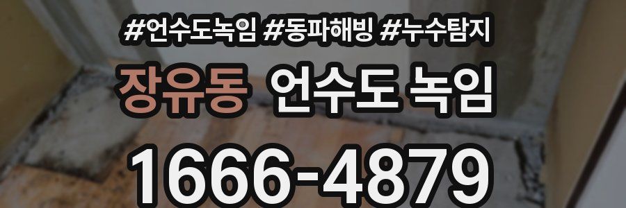 장유동 언수도 녹임