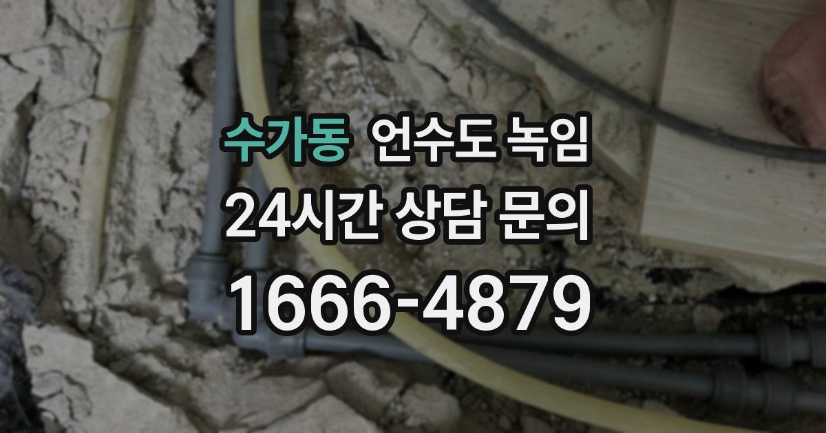 수가동 언수도 녹임