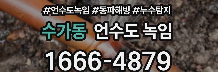 수가동 언수도 녹임