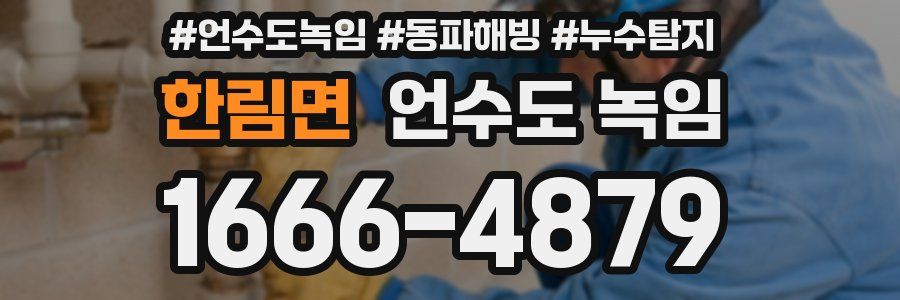 한림면 언수도 녹임