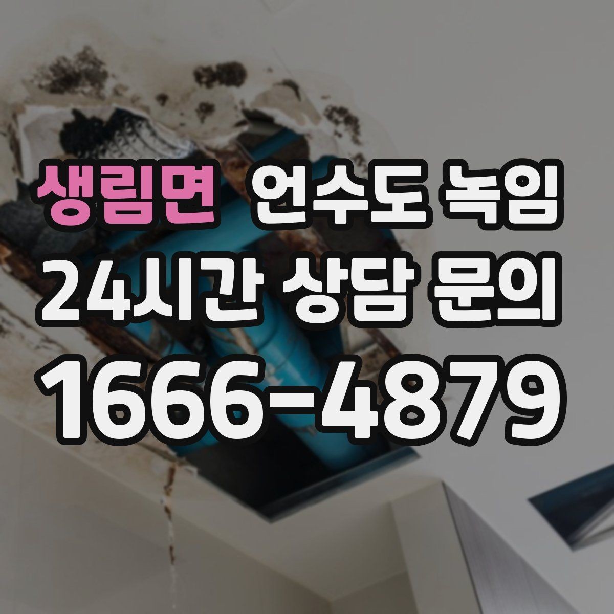 생림면 언수도 녹임 물이 녹자마자 계량기가 빨리 돌면 위험 신호