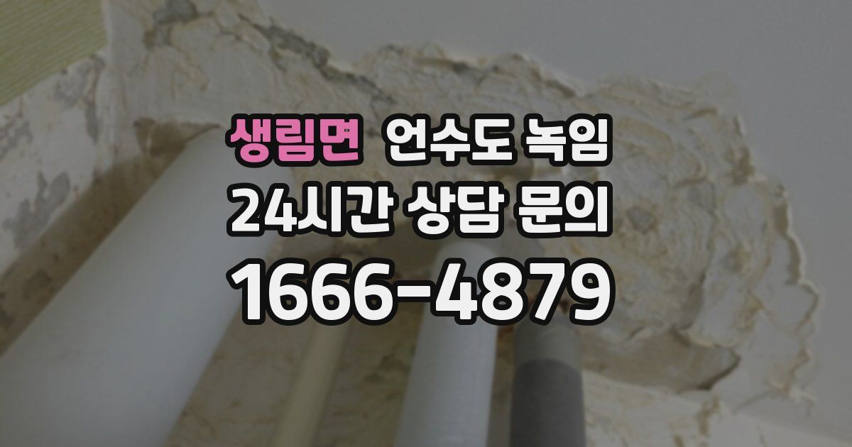 생림면 언수도 녹임