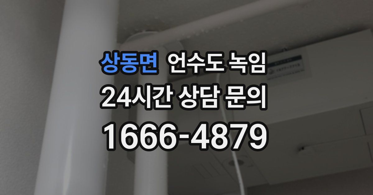 상동면 언수도 녹임