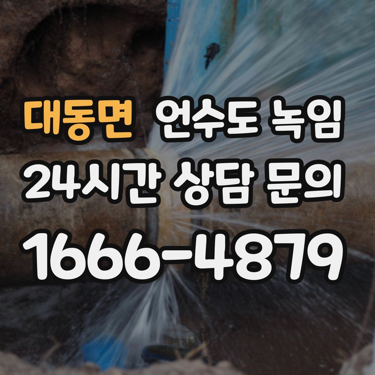 대동면 언수도 녹임