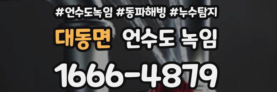 대동면 언수도 녹임