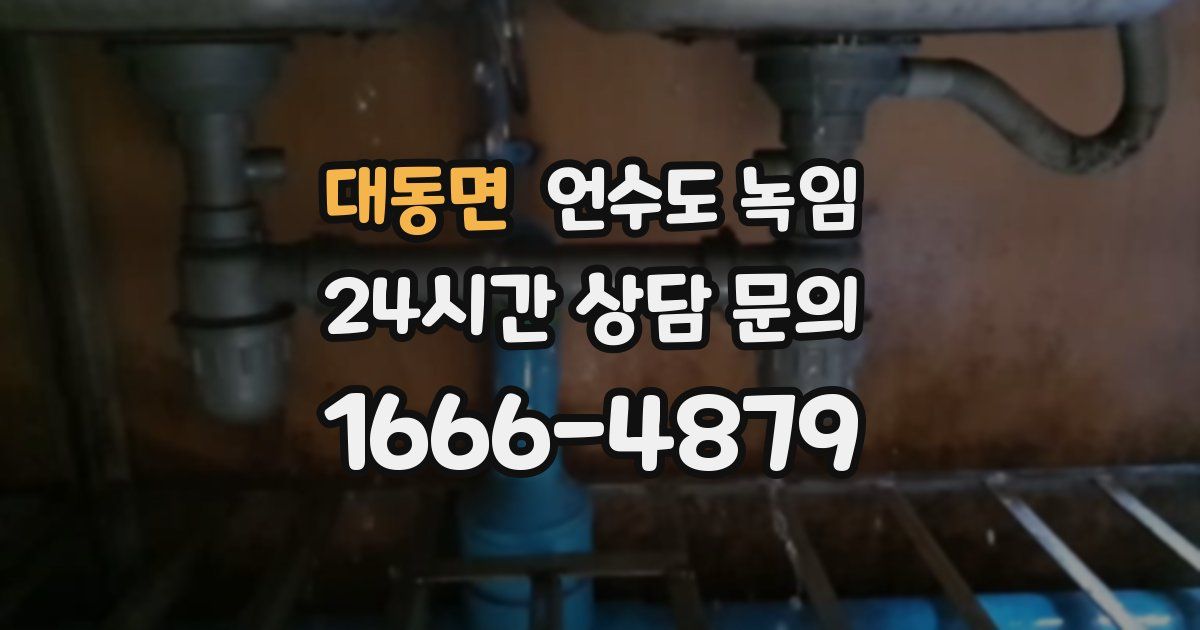 대동면 언수도 녹임