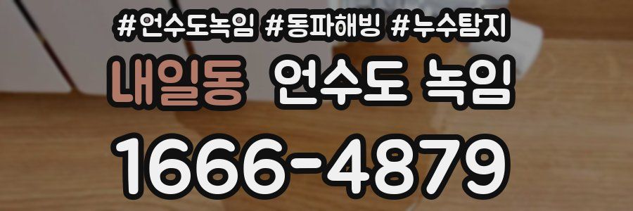 내일동 언수도 녹임