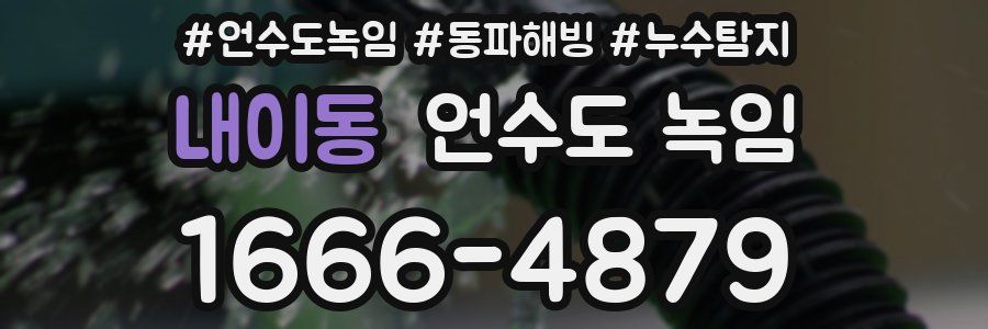 내이동 언수도 녹임